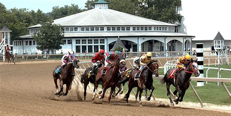 The Show bet is picking a horse to finish third. . Laurel park picks